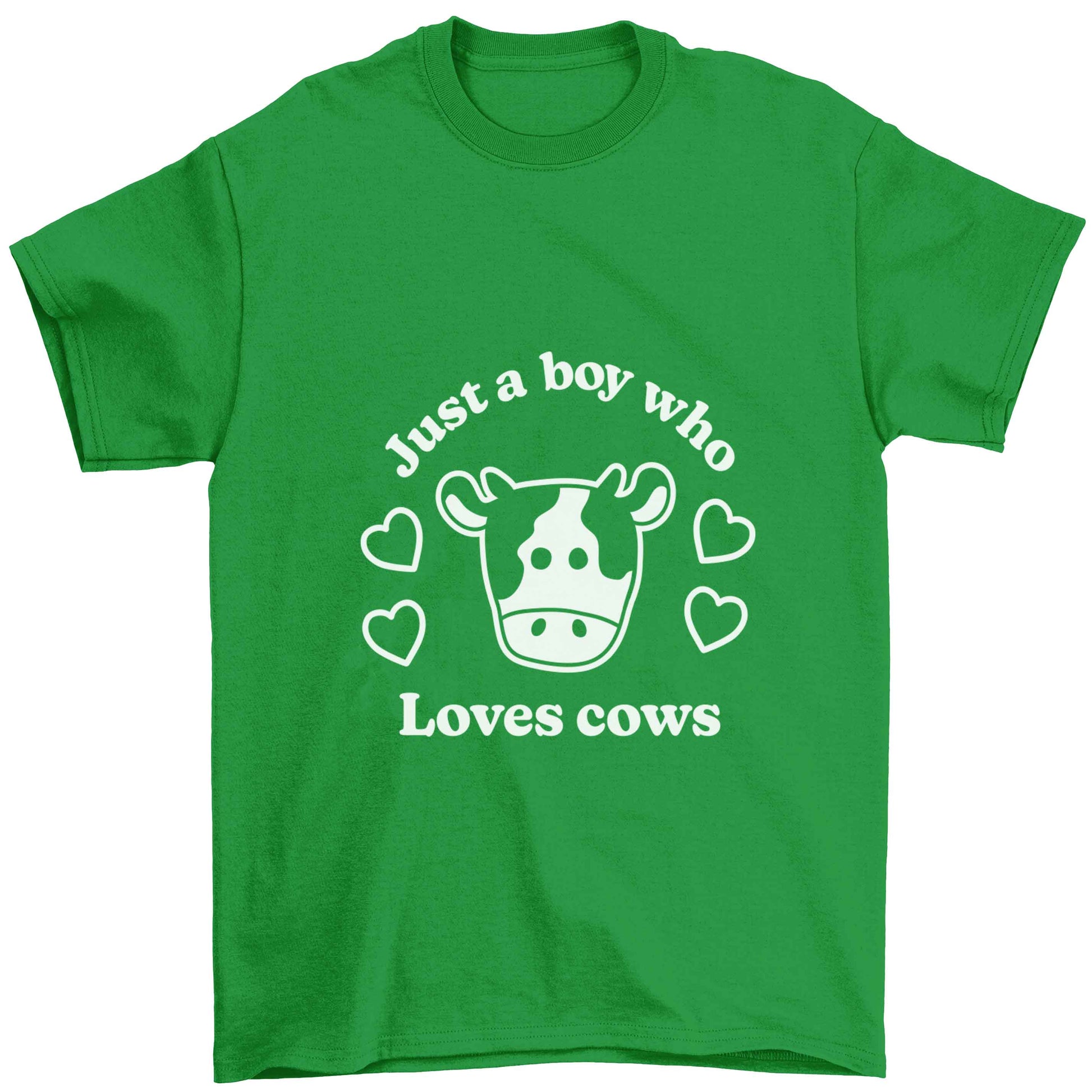 Just a boy who loves cows Children's green Tshirt 12-13 Years