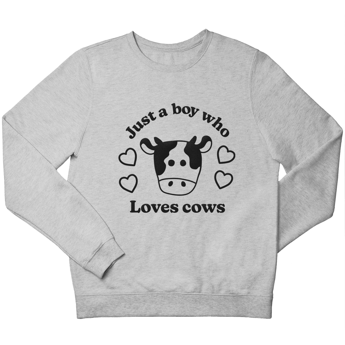 Just a boy who loves cows children's grey sweater 12-13 Years