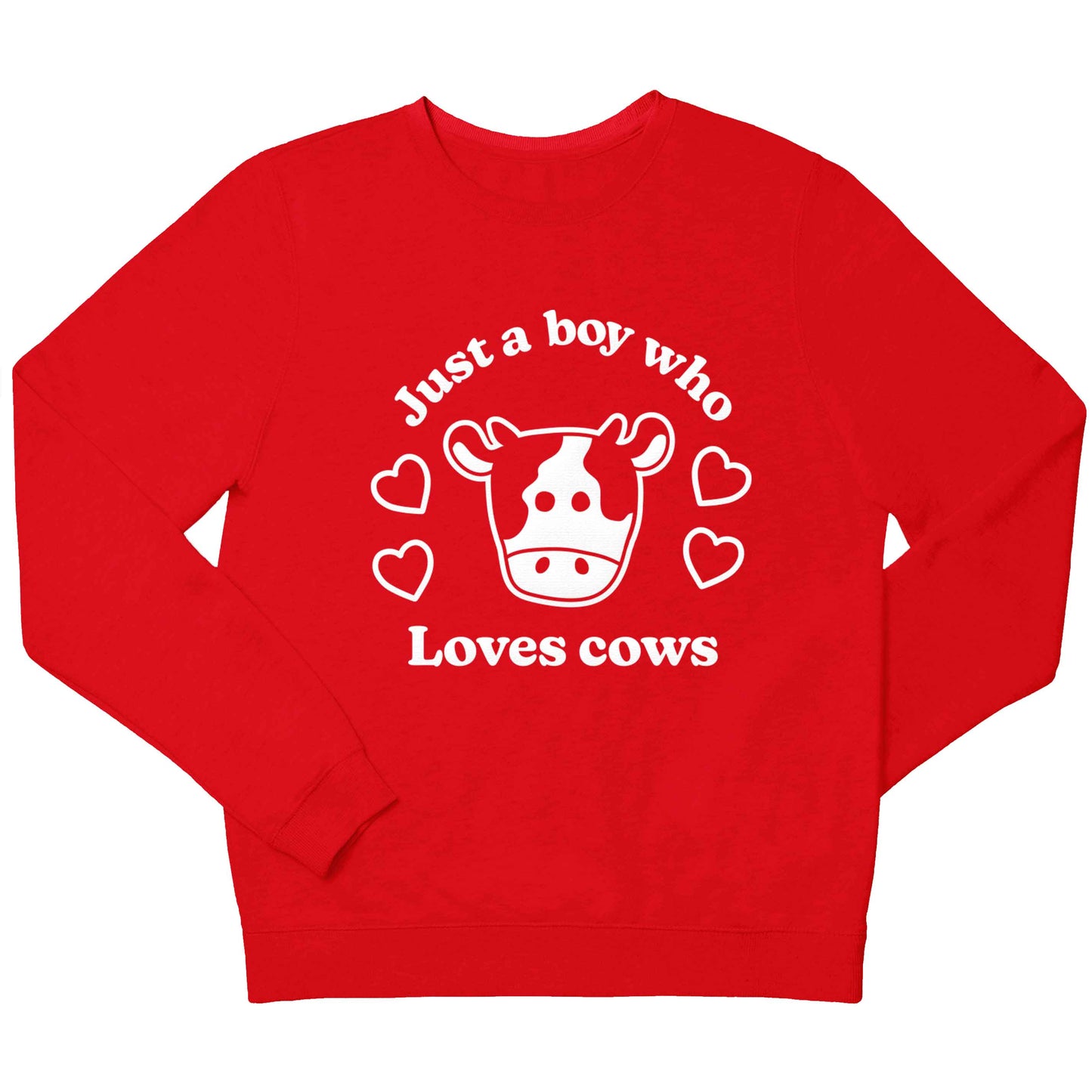 Just a boy who loves cows children's grey sweater 12-13 Years