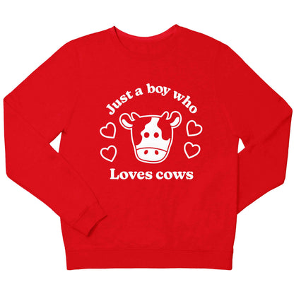 Just a boy who loves cows children's grey sweater 12-13 Years