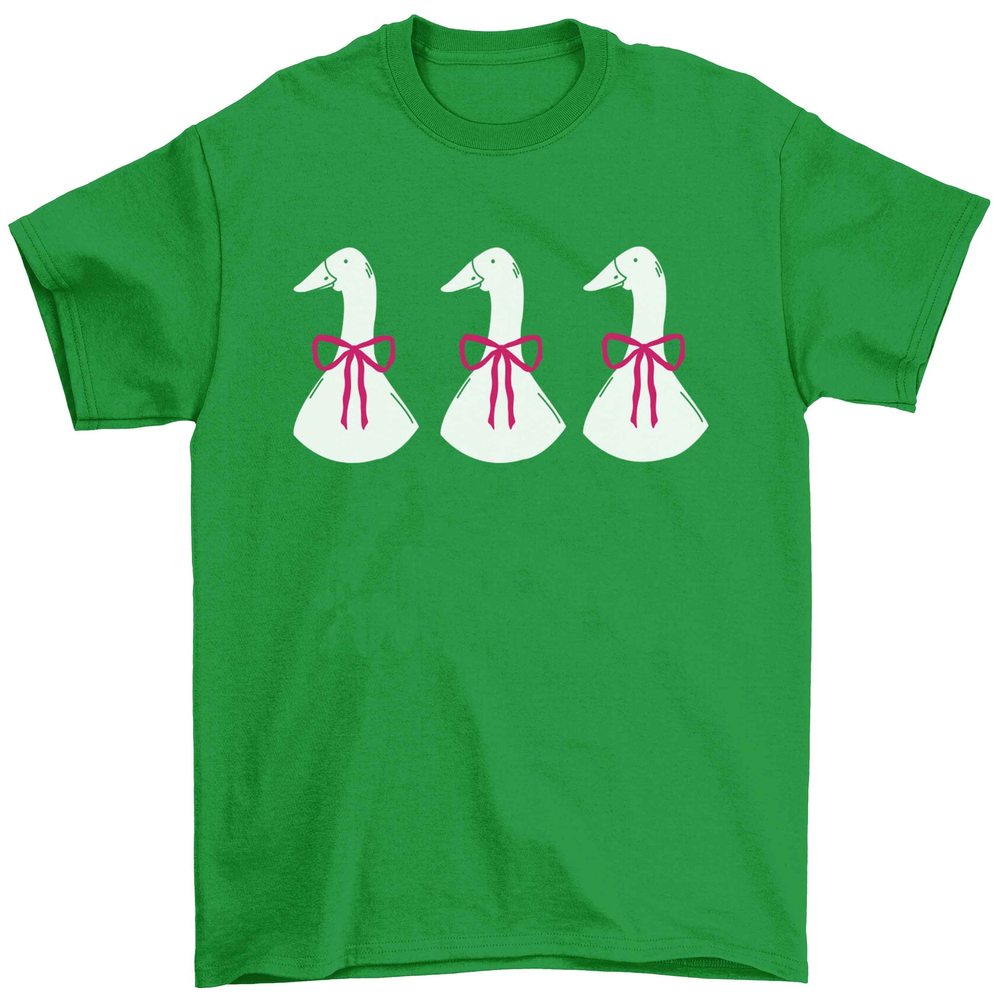 Three geese illustration Children's green Tshirt 12-13 Years