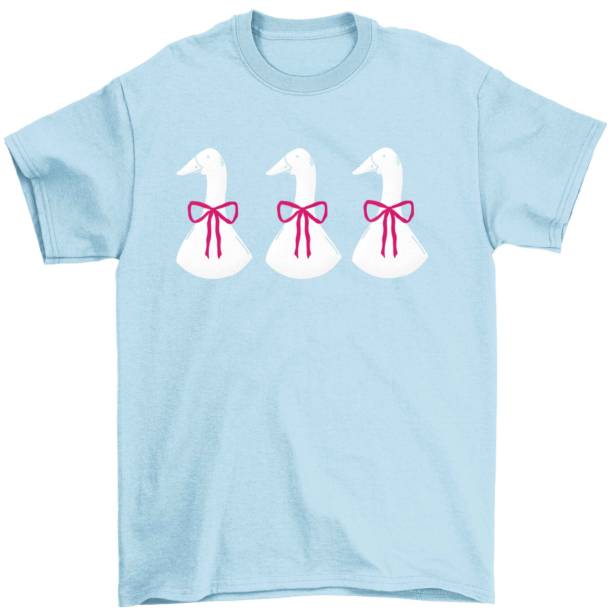 Three geese illustration Children's light blue Tshirt 12-13 Years