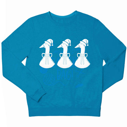 Christmas geese children's blue sweater 12-13 Years