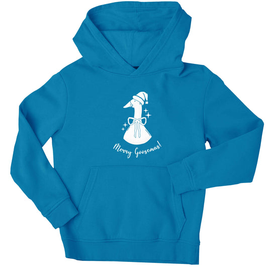 Merry goosemas children's blue hoodie 12-13 Years