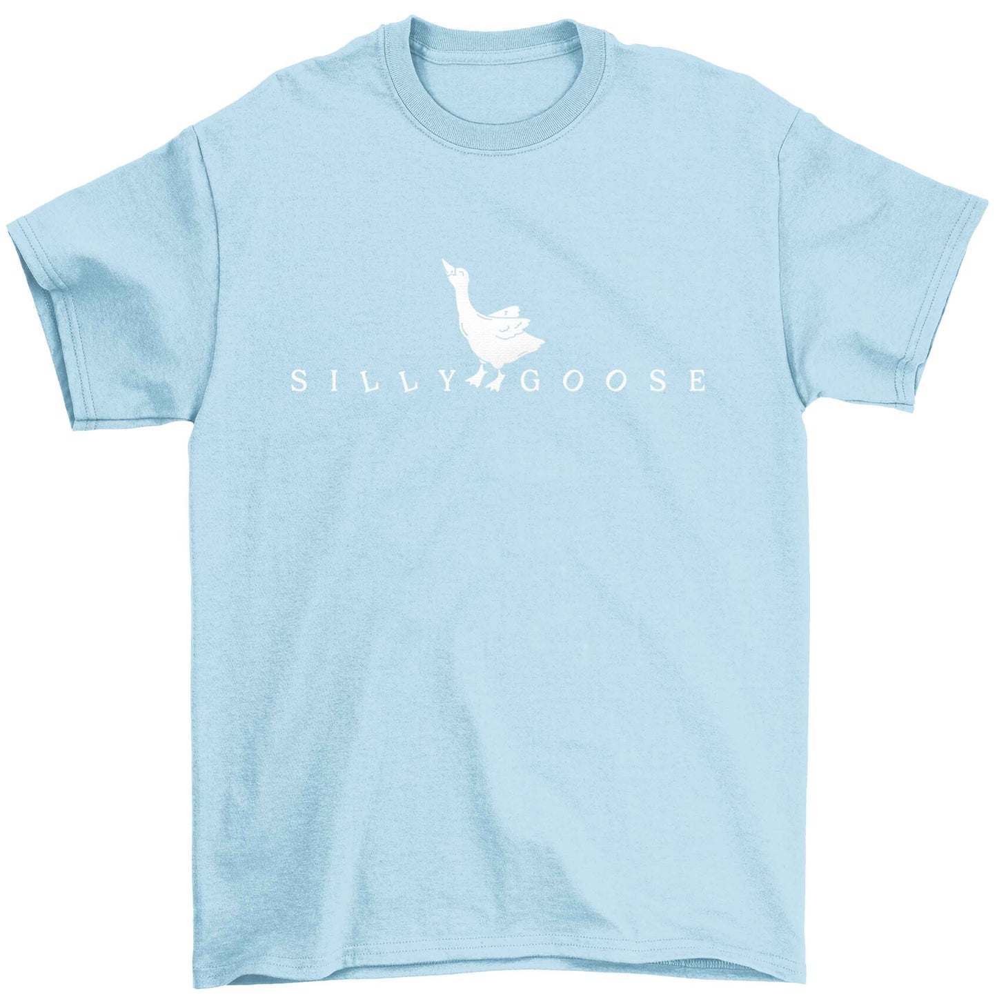 Silly goose Children's light blue Tshirt 12-13 Years