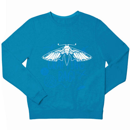 Moth illustration children's blue sweater 12-13 Years