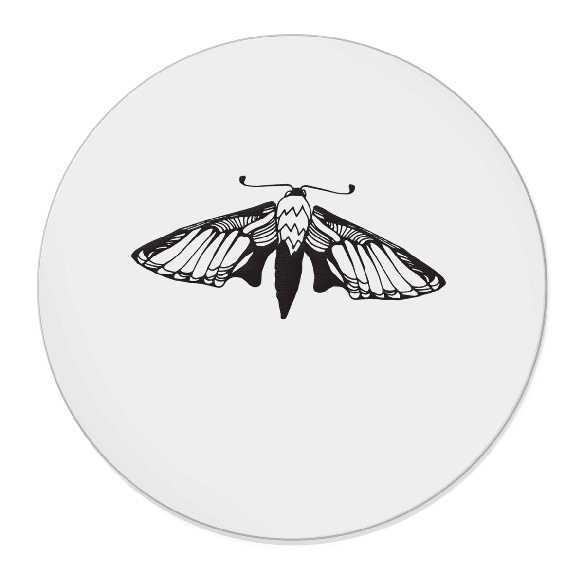 Moth illustration | Magnet