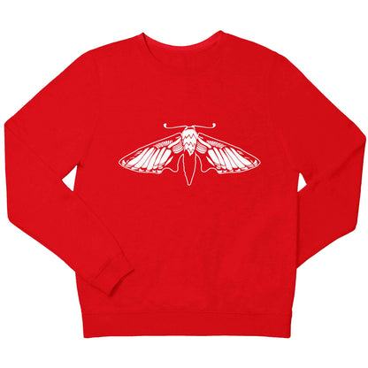 Moth illustration children's grey sweater 12-13 Years