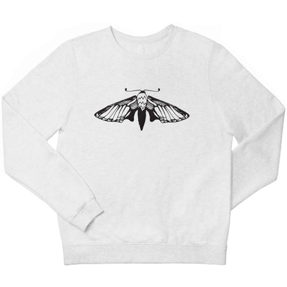 Moth illustration children's white sweater 12-13 Years