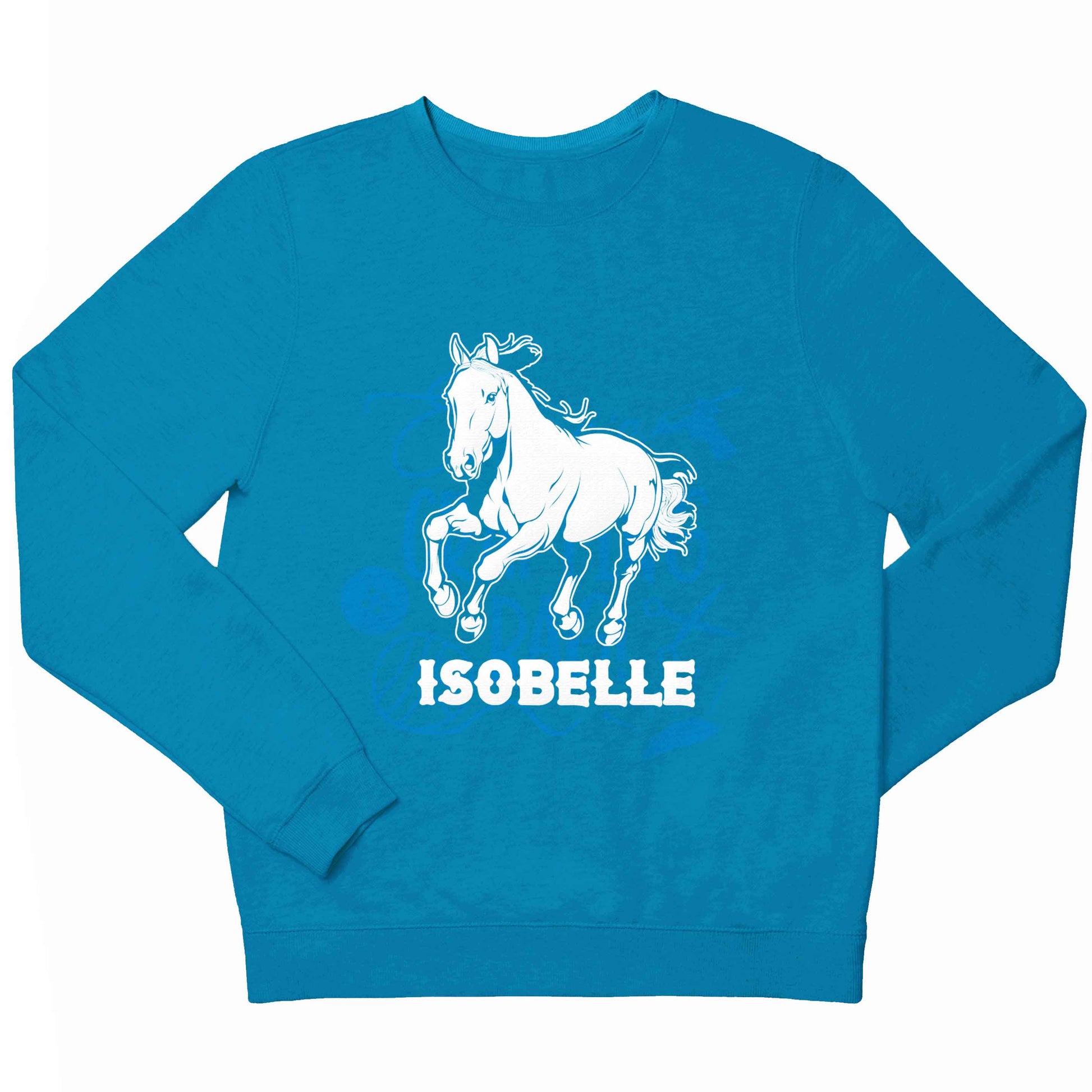 Horse illustration with personalised name children's blue sweater 12-13 Years