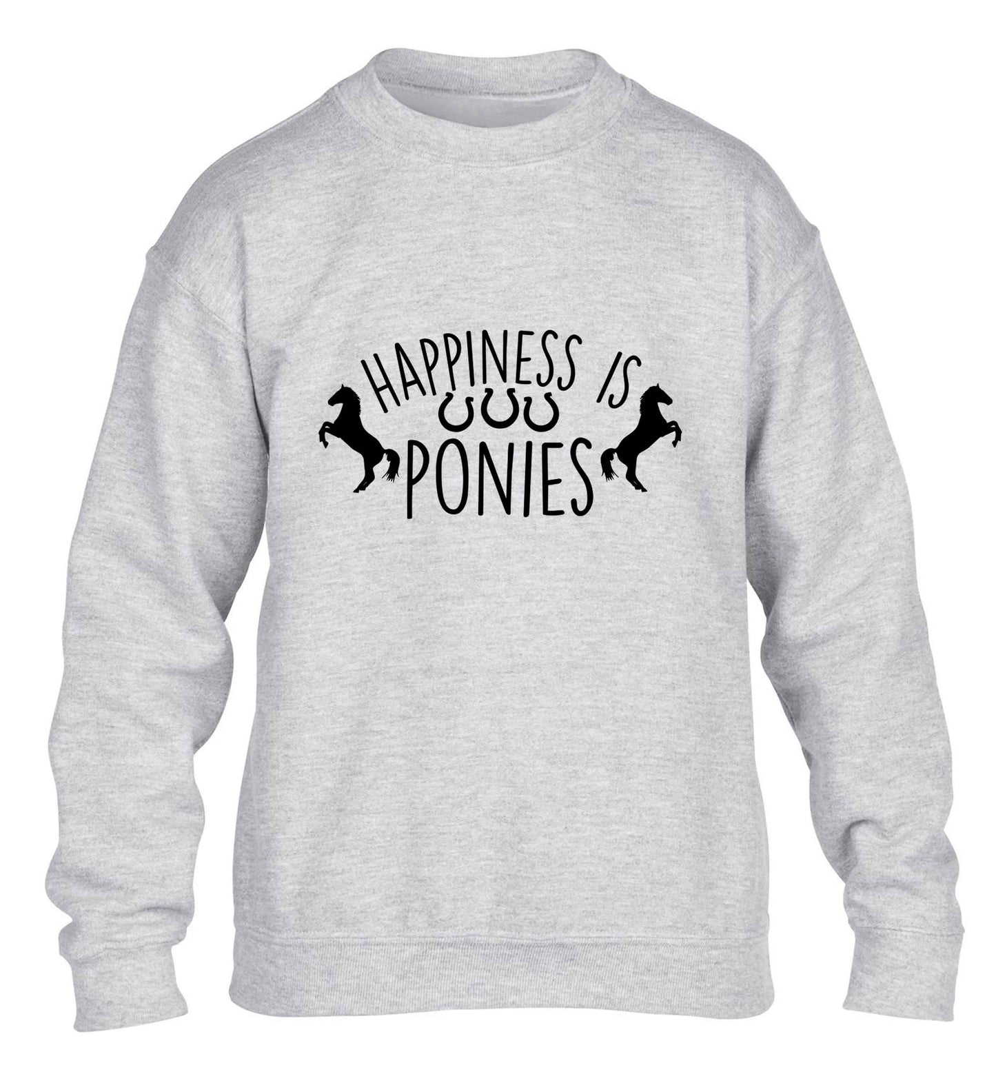 Happiness is ponies children's grey sweater 12-13 Years
