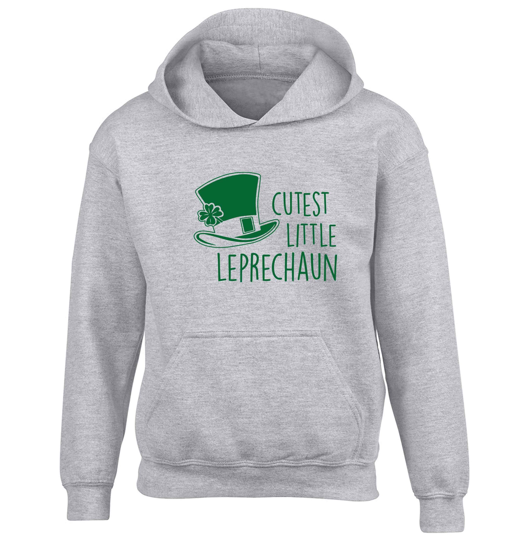 Cutest little leprechaun children's grey hoodie 12-13 Years