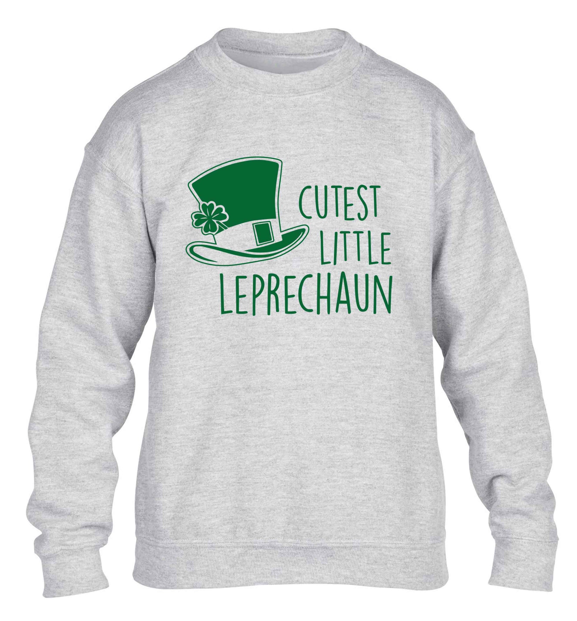 Cutest little leprechaun children's grey sweater 12-13 Years