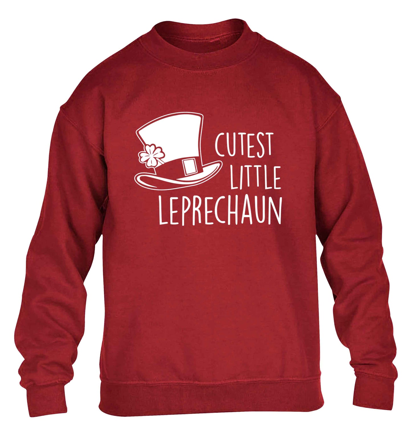 Cutest little leprechaun children's grey sweater 12-13 Years
