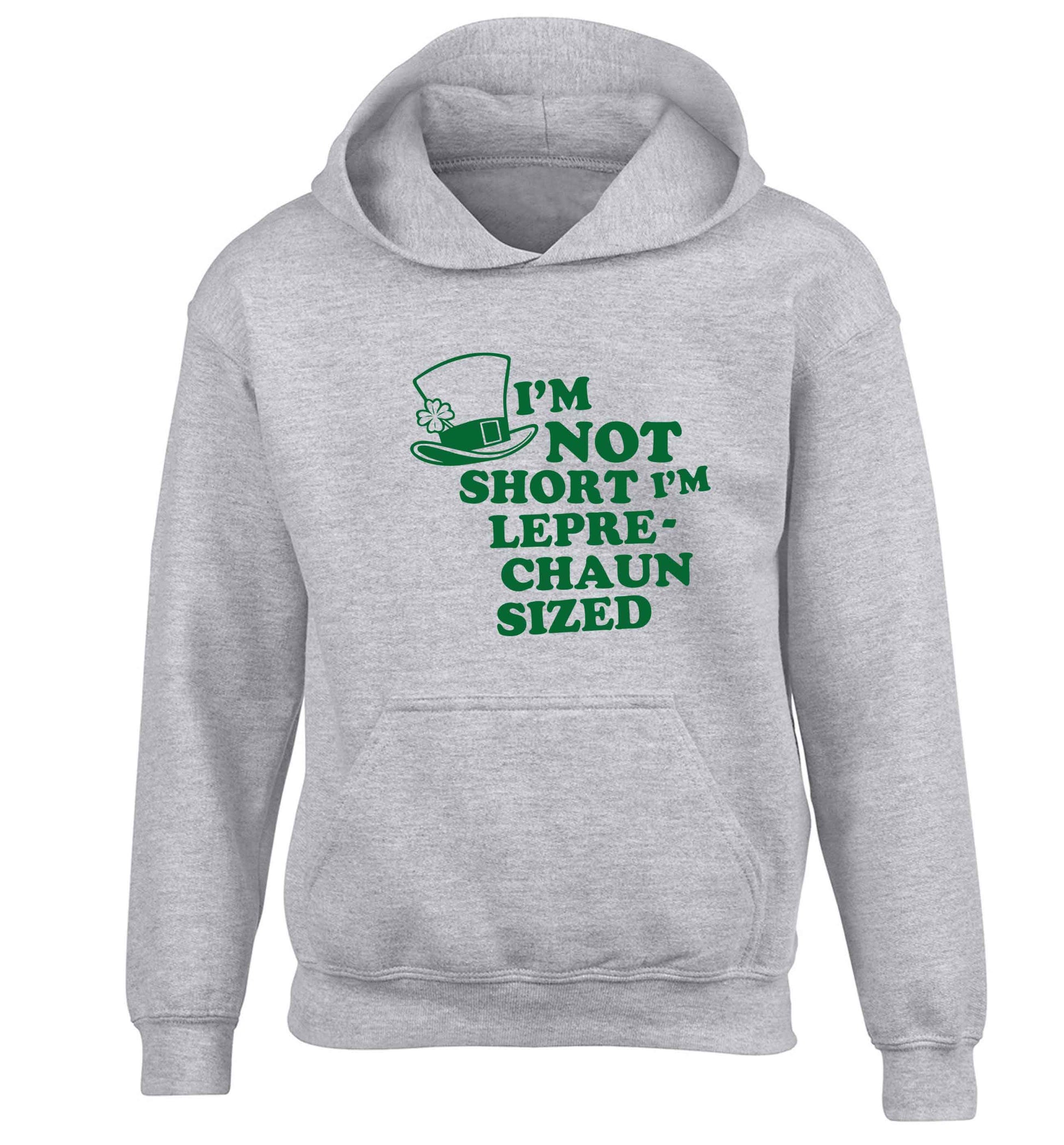 I'm not short I'm leprechaun sized children's grey hoodie 12-13 Years