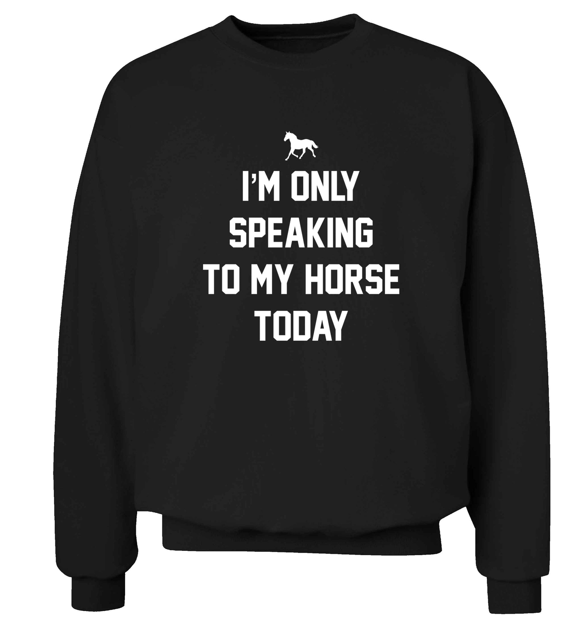 I'm only speaking to my horse today adult's unisex black sweater 2XL