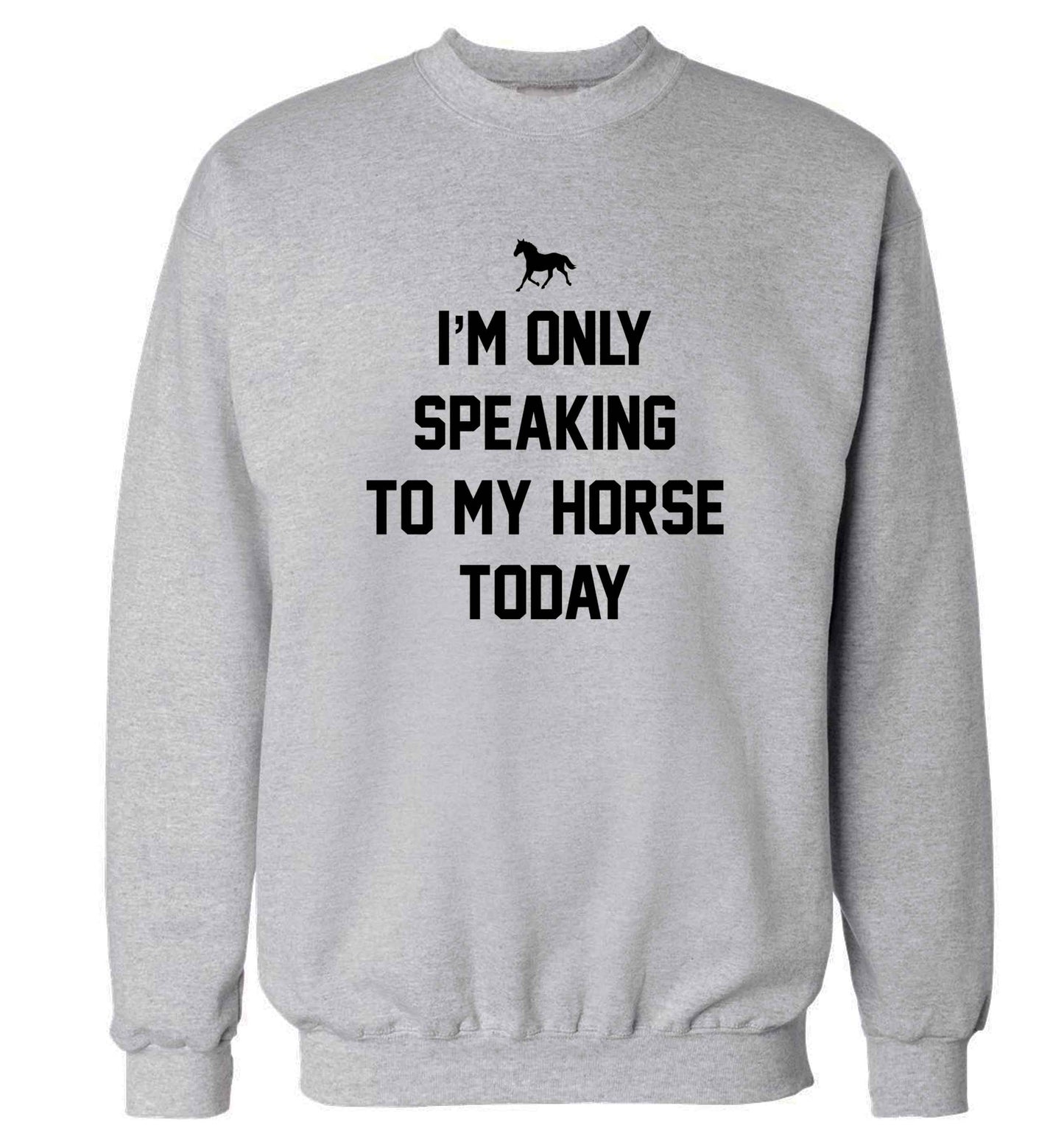 I'm only speaking to my horse today adult's unisex grey sweater 2XL