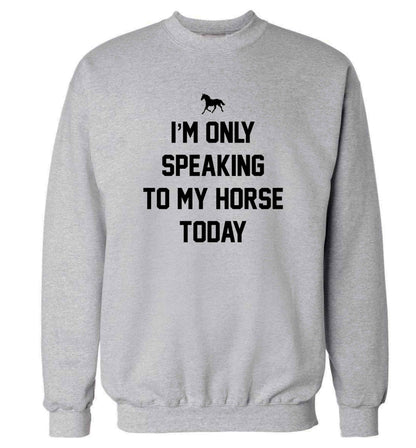 I'm only speaking to my horse today adult's unisex grey sweater 2XL