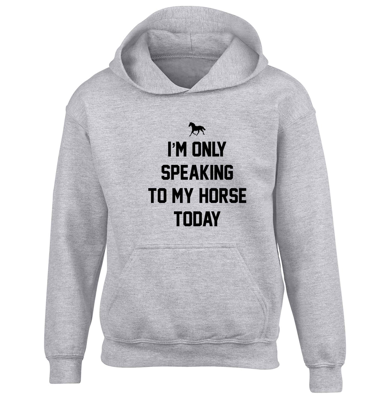 I'm only speaking to my horse today children's grey hoodie 12-13 Years