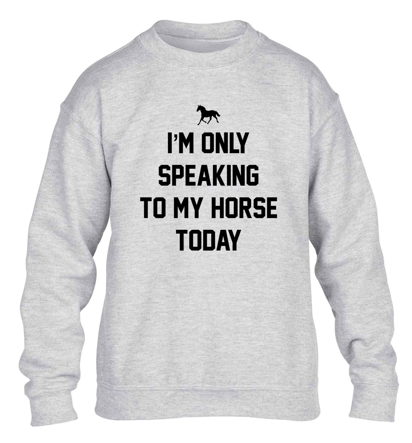 I'm only speaking to my horse today children's grey sweater 12-13 Years