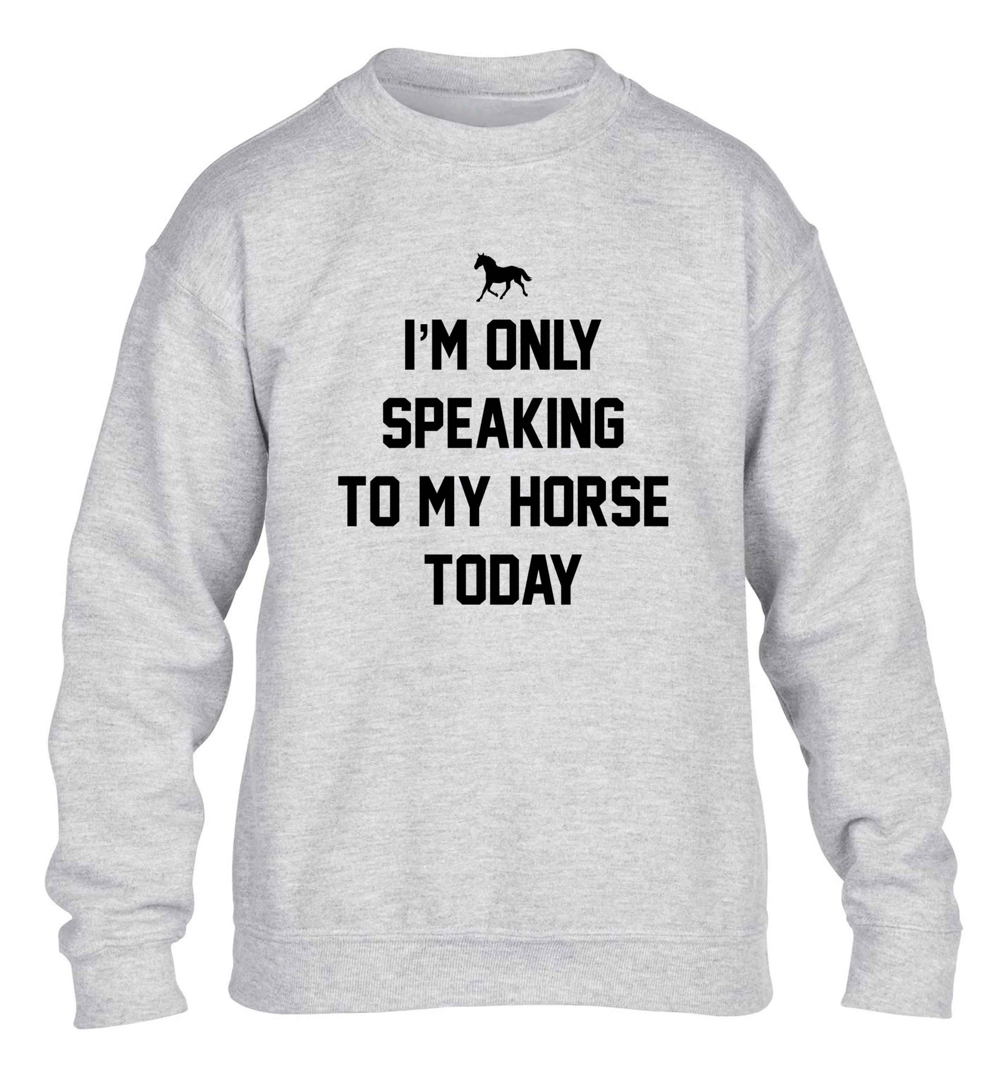 I'm only speaking to my horse today children's grey sweater 12-13 Years