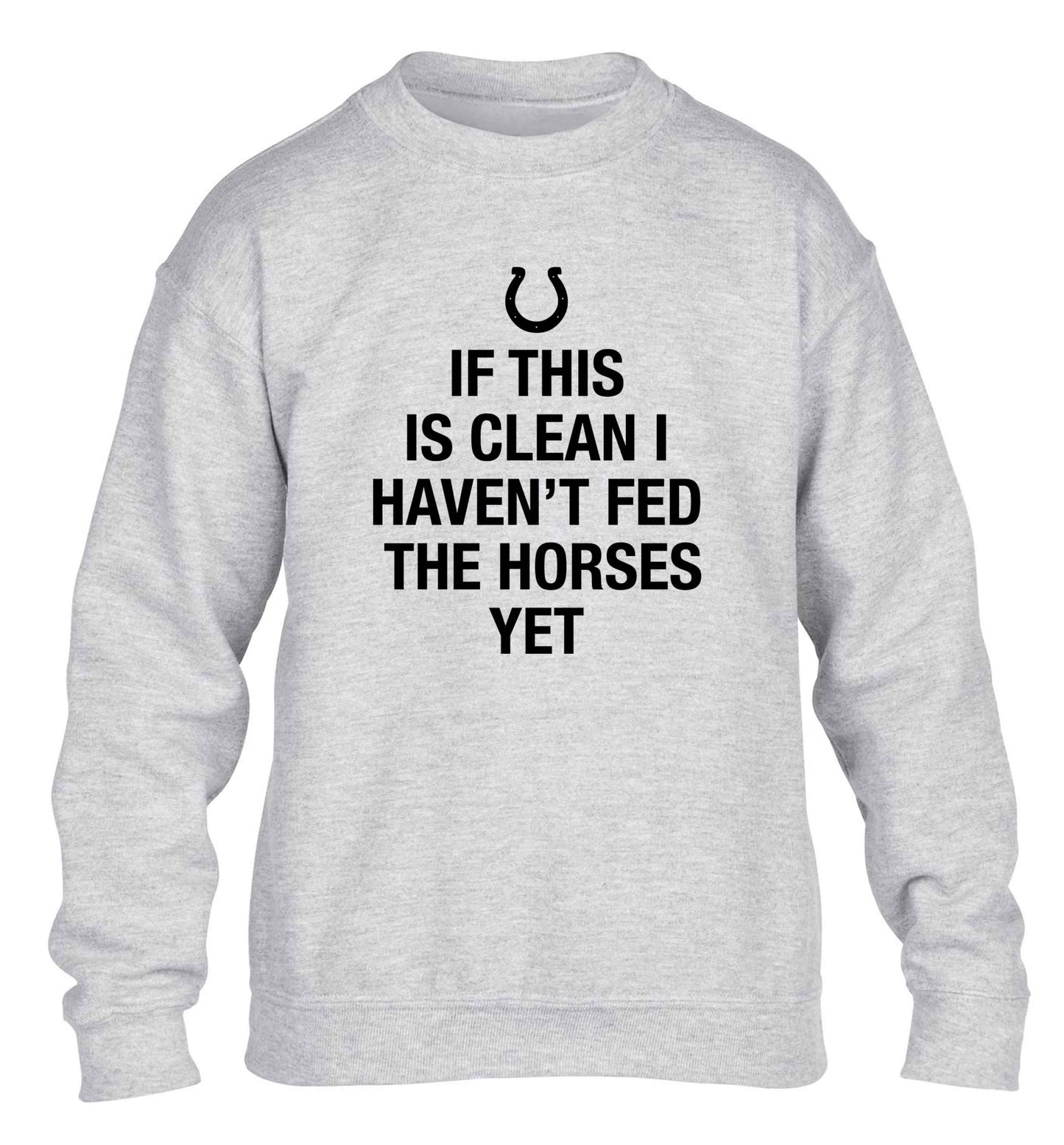 If this isn't clean I haven't fed the horses yet children's grey sweater 12-13 Years