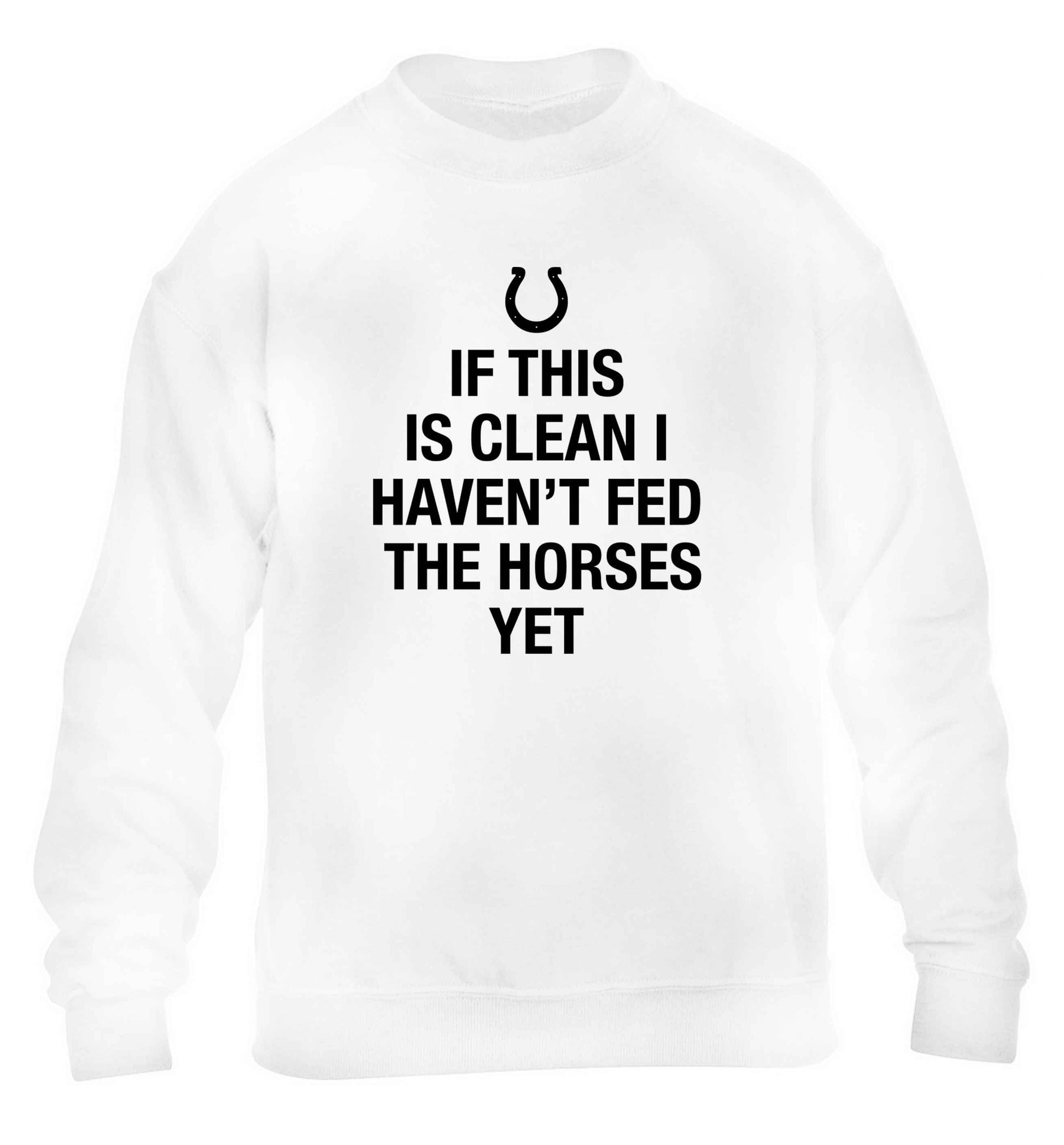 If this isn't clean I haven't fed the horses yet children's white sweater 12-13 Years