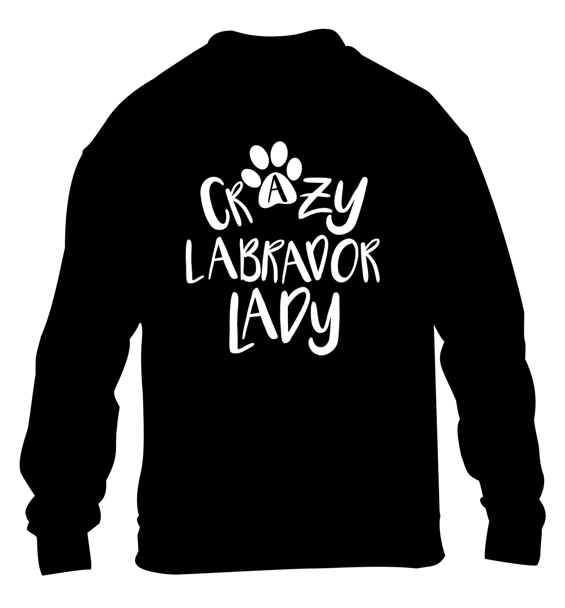 Crazy labrador lady children's black sweater 12-14 Years