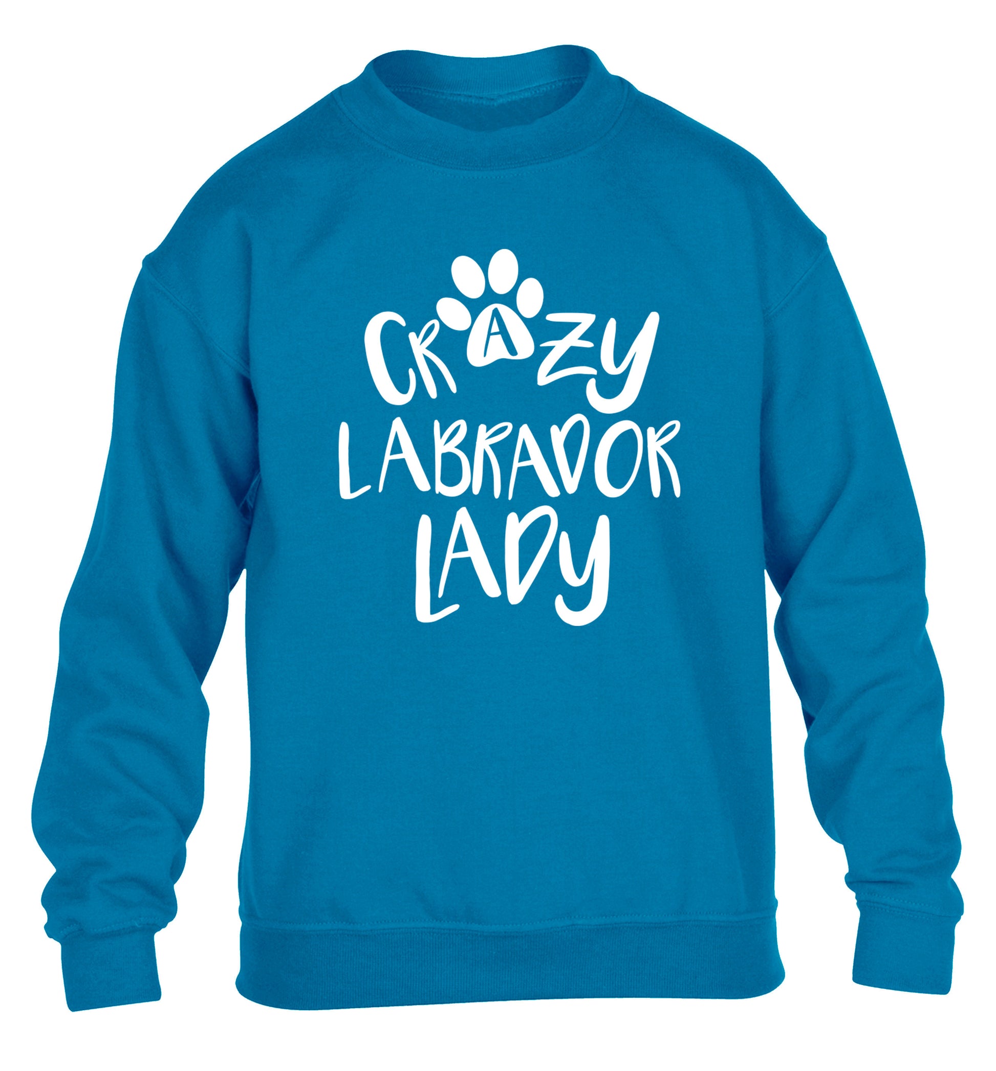 Crazy labrador lady children's blue sweater 12-14 Years