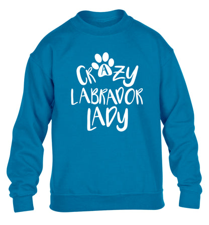 Crazy labrador lady children's blue sweater 12-14 Years