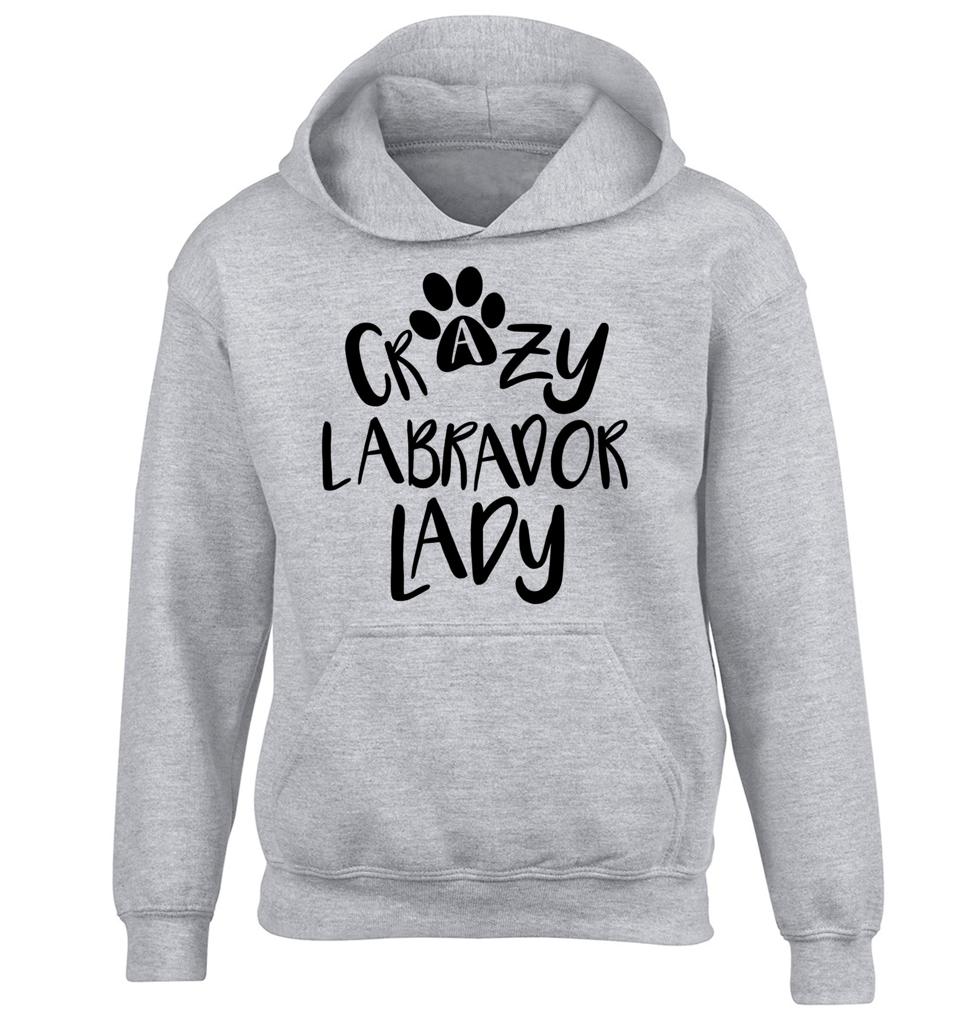 Crazy labrador lady children's grey hoodie 12-14 Years