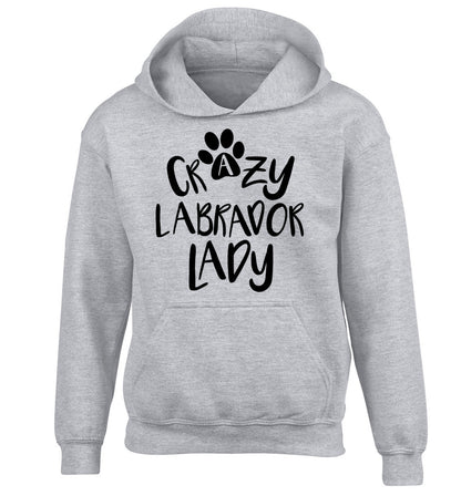 Crazy labrador lady children's grey hoodie 12-14 Years