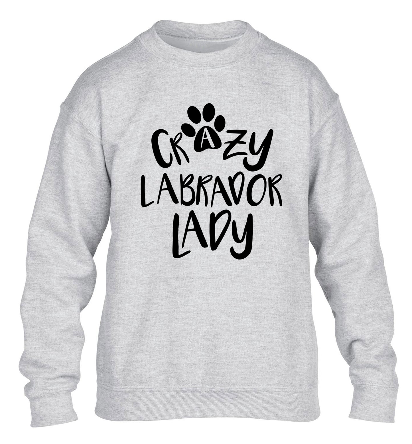 Crazy labrador lady children's grey sweater 12-14 Years