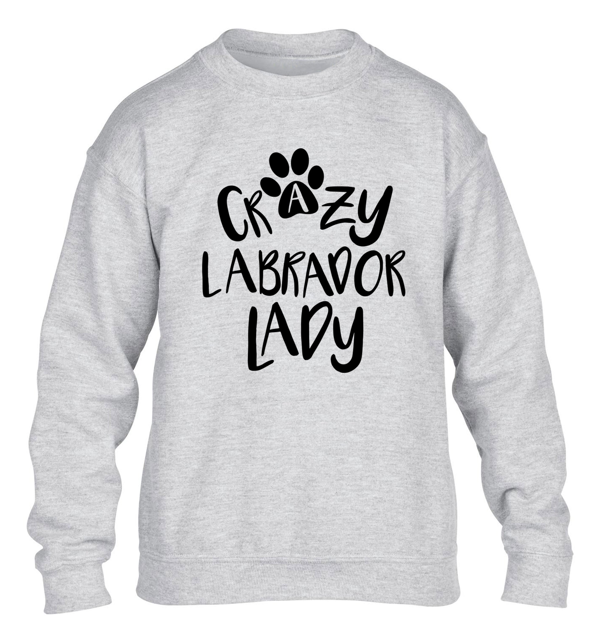 Crazy labrador lady children's grey sweater 12-14 Years