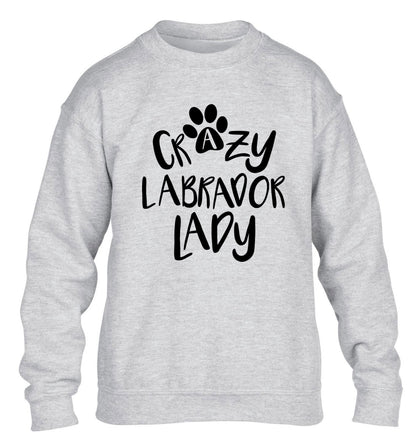 Crazy labrador lady children's grey sweater 12-14 Years