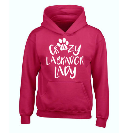 Crazy labrador lady children's pink hoodie 12-14 Years