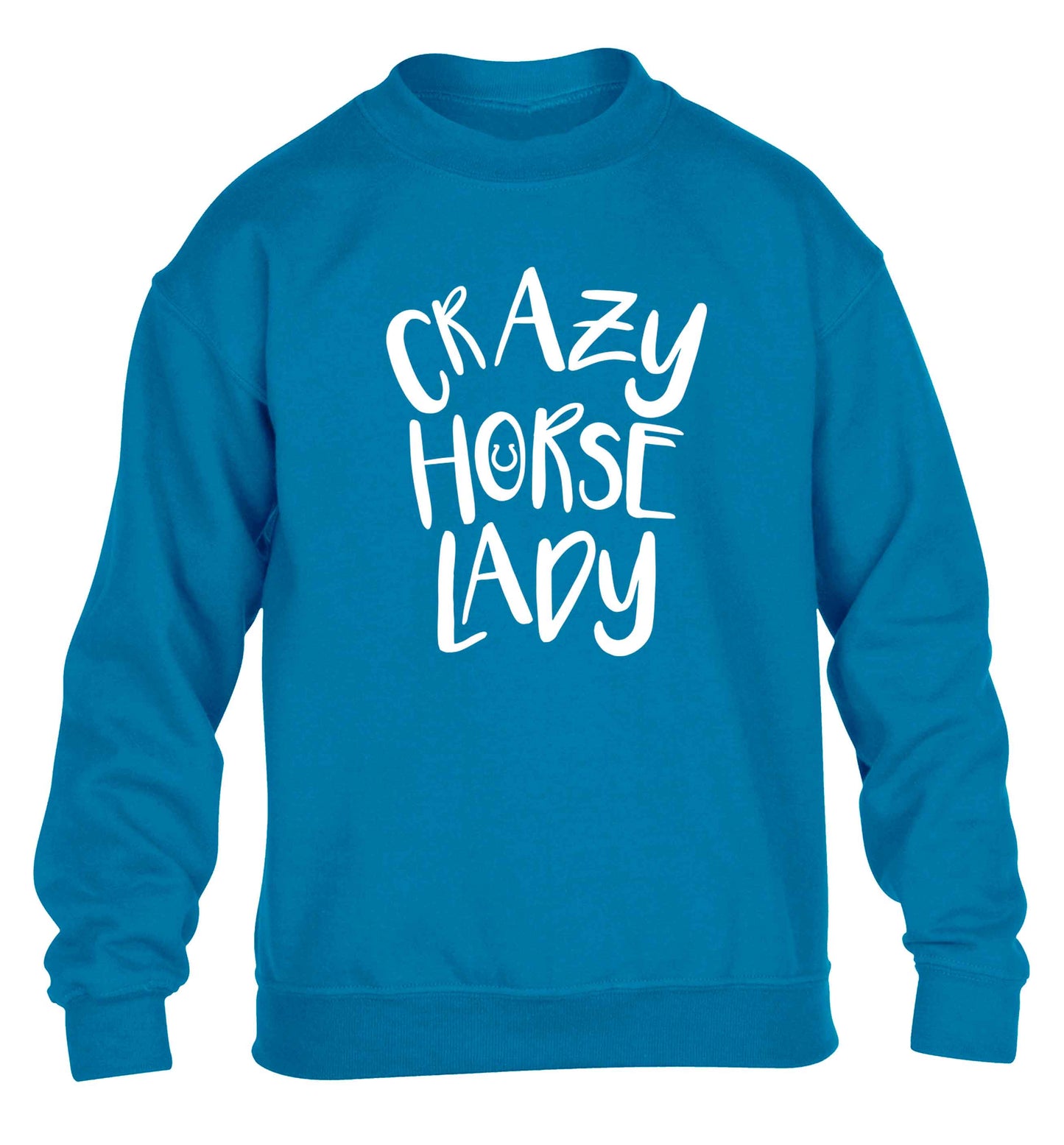 Crazy horse lady children's blue sweater 12-13 Years
