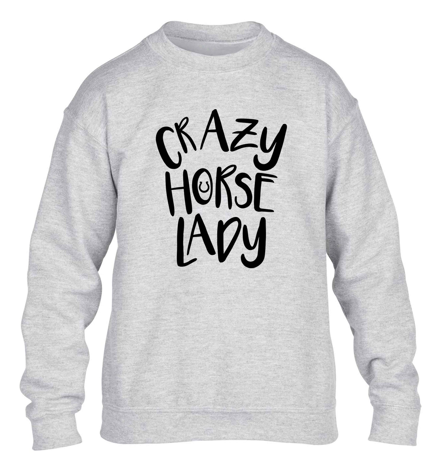 Crazy horse lady children's grey sweater 12-13 Years