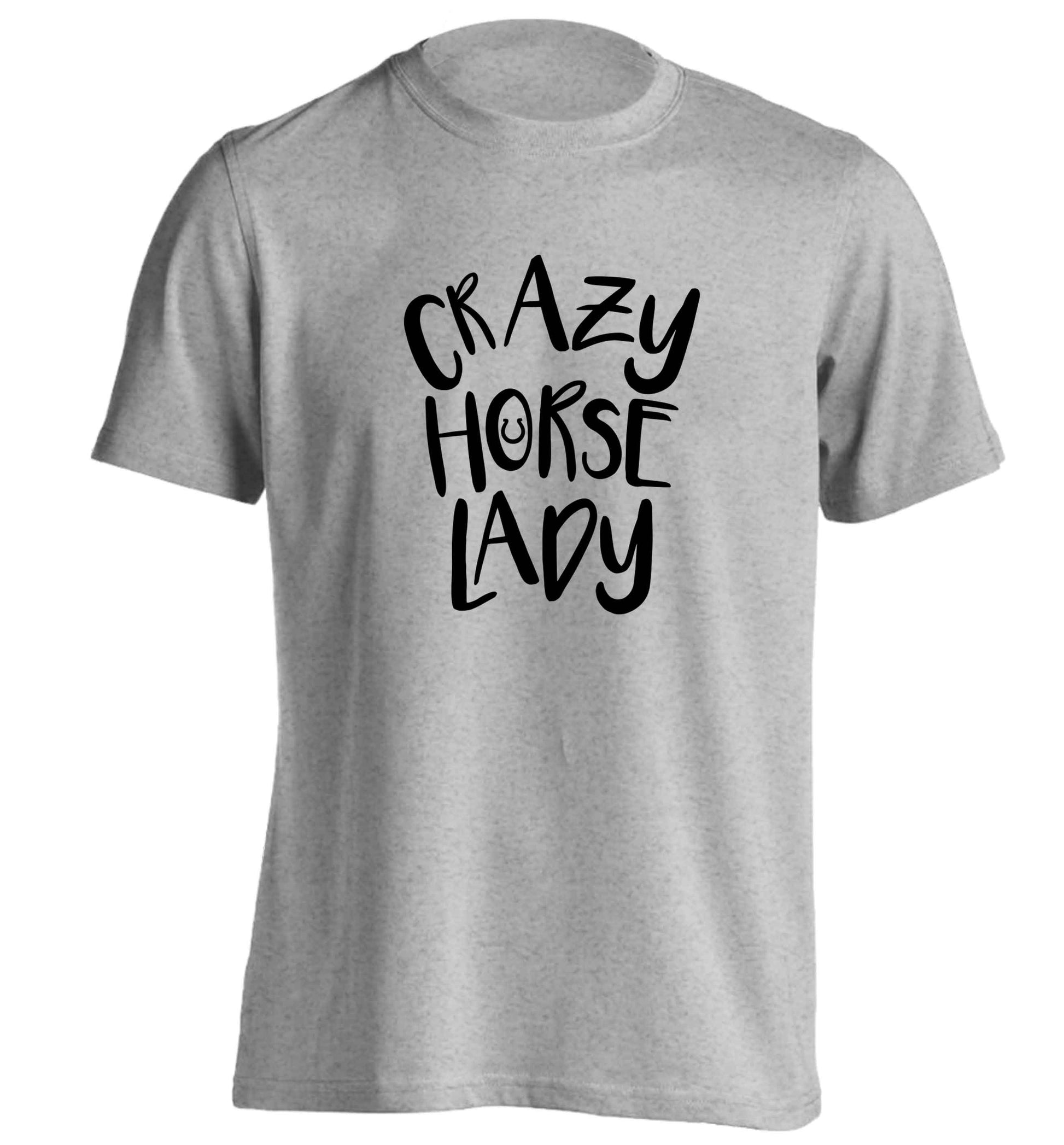 Crazy horse lady adults unisex grey Tshirt 2XL