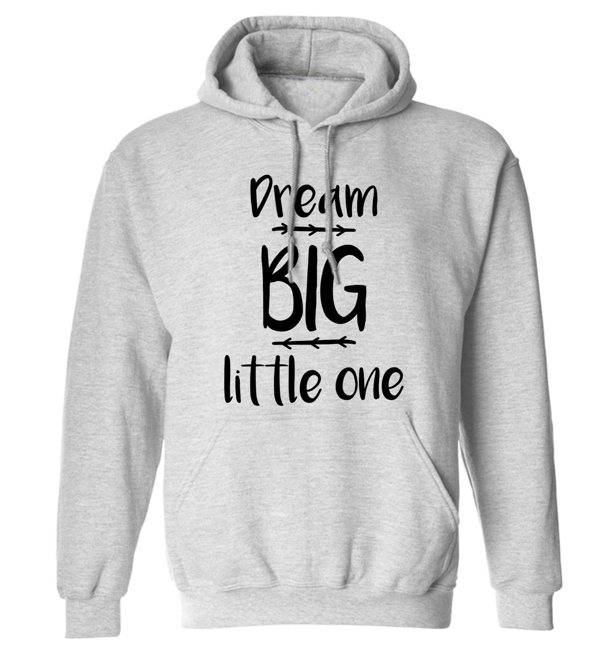 Dream big little one adults unisex grey hoodie 2XL