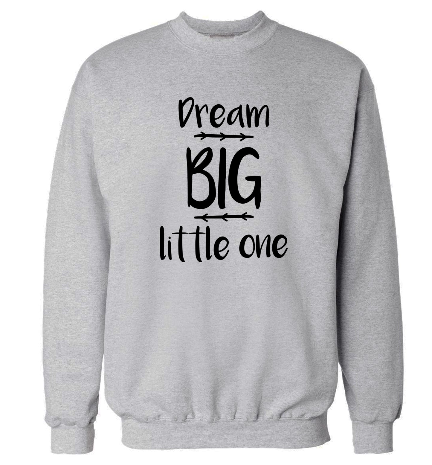 Dream big little one Adult's unisex grey Sweater 2XL