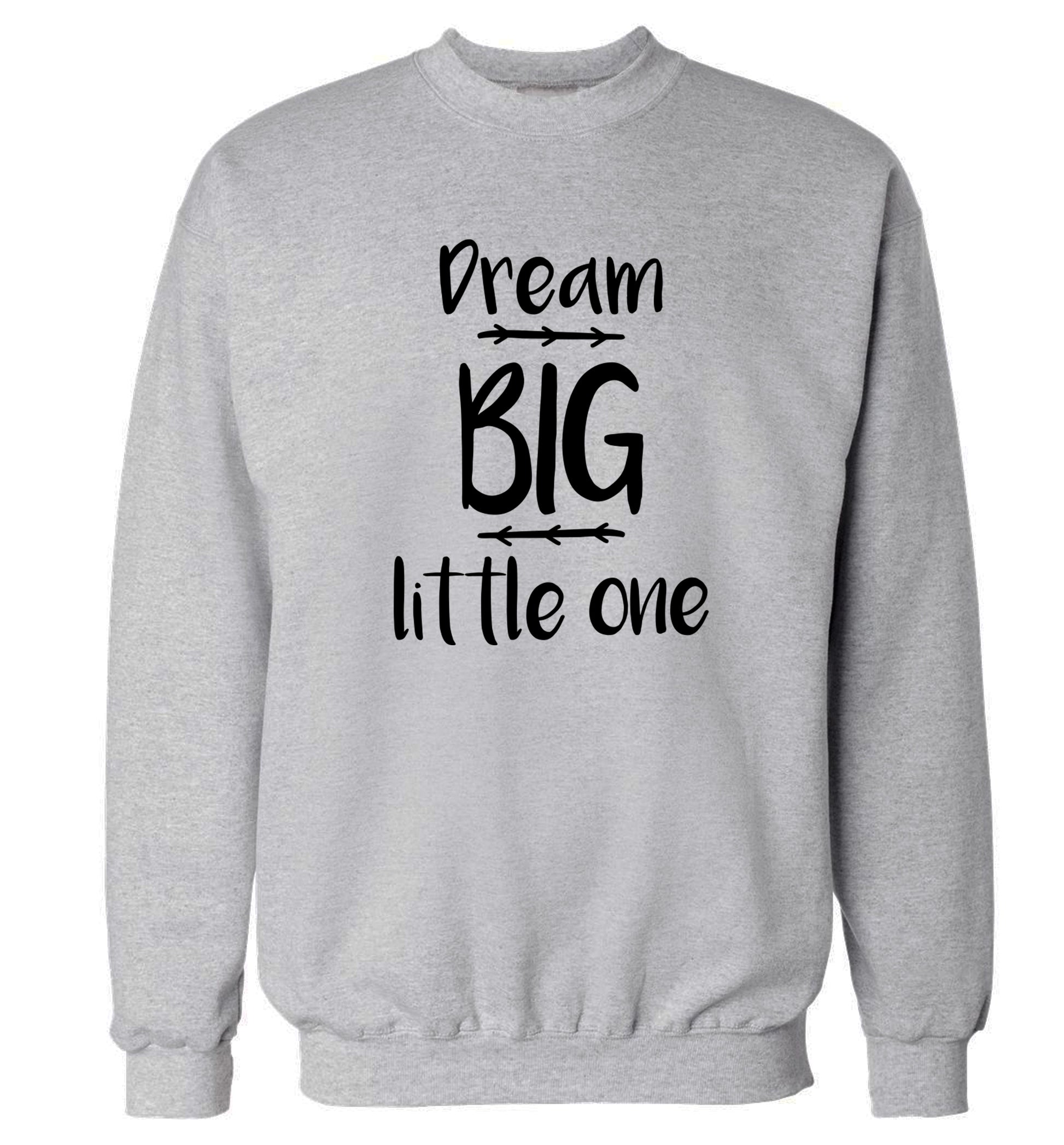 Dream big little one Adult's unisex grey Sweater 2XL