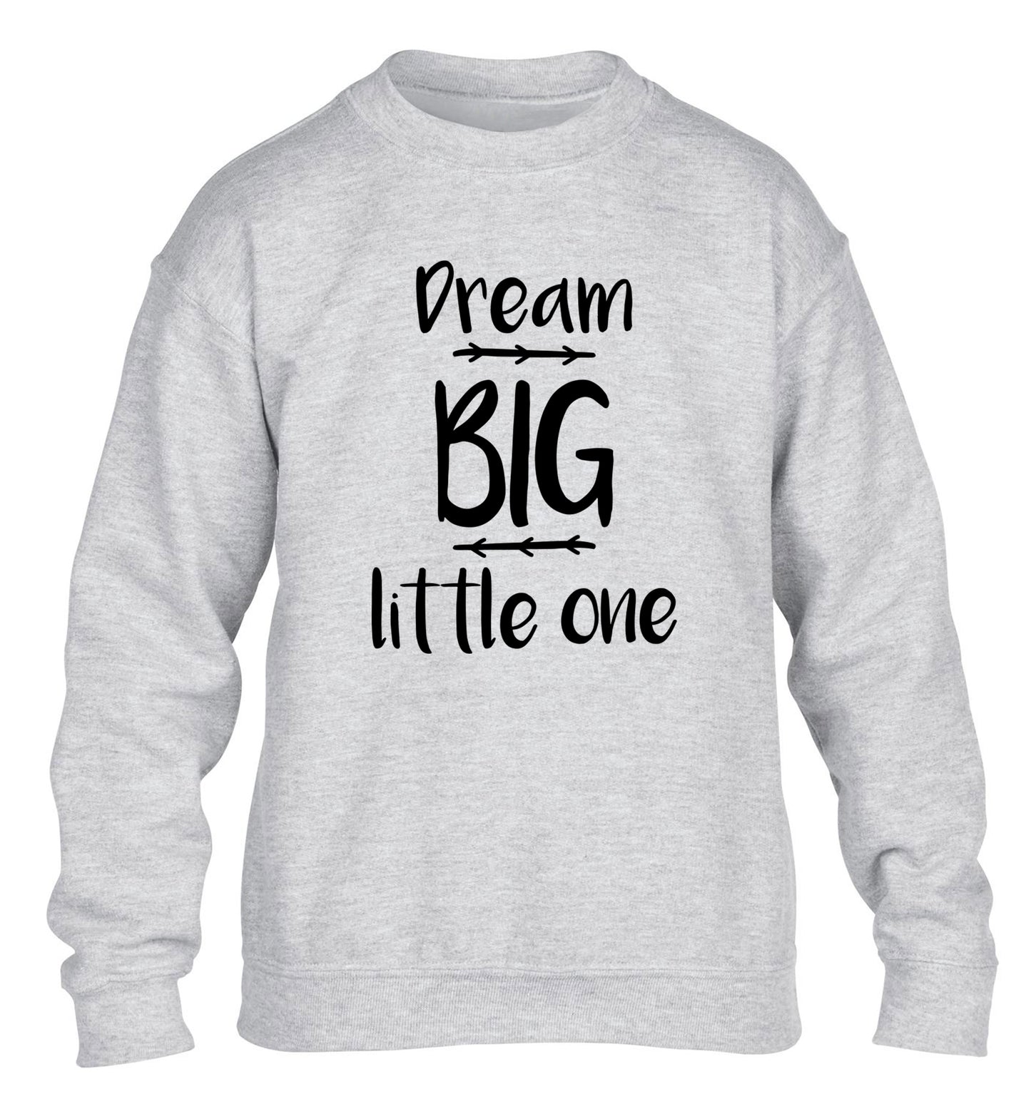 Dream big little one children's grey sweater 12-14 Years