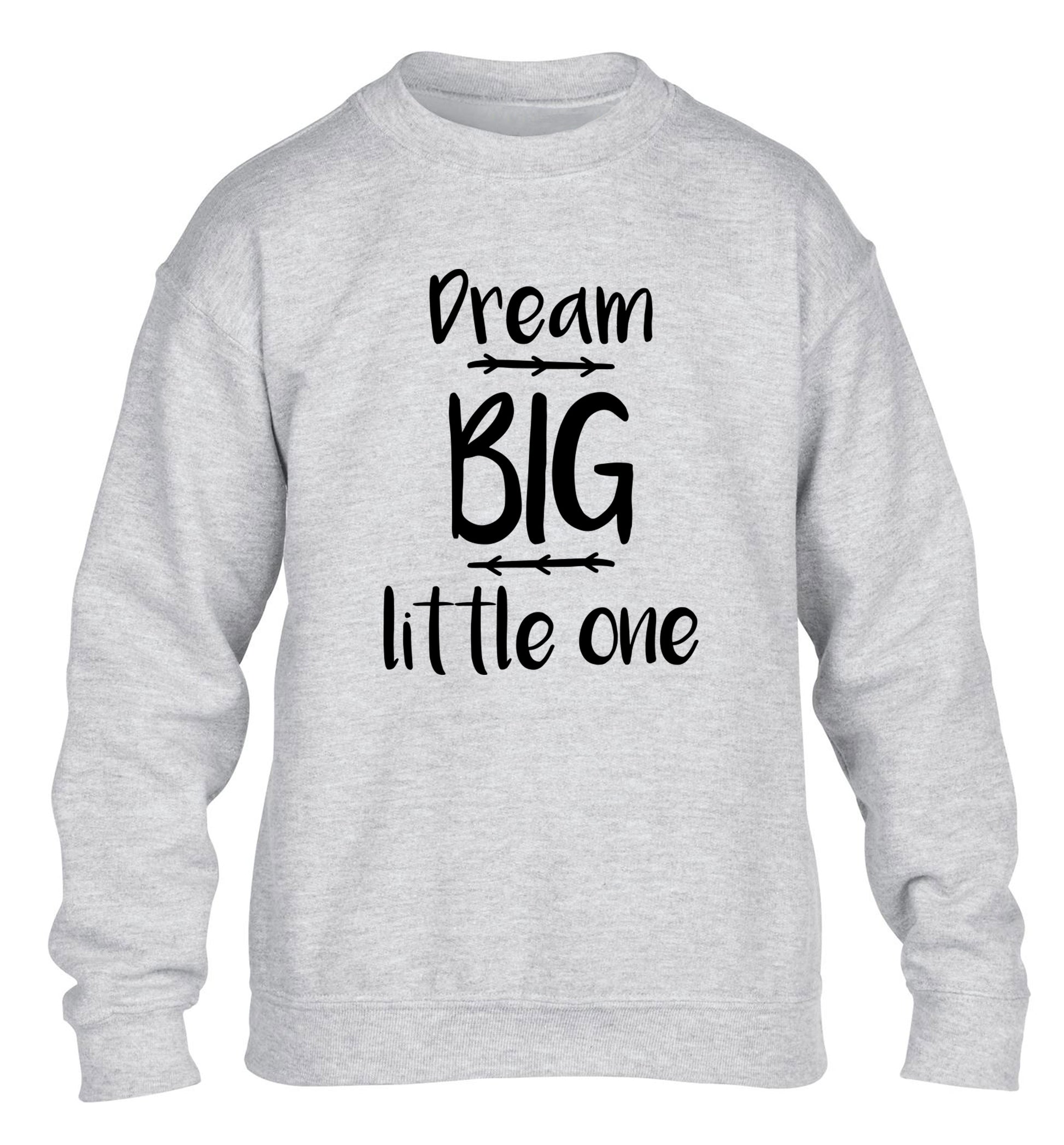 Dream big little one children's grey sweater 12-14 Years