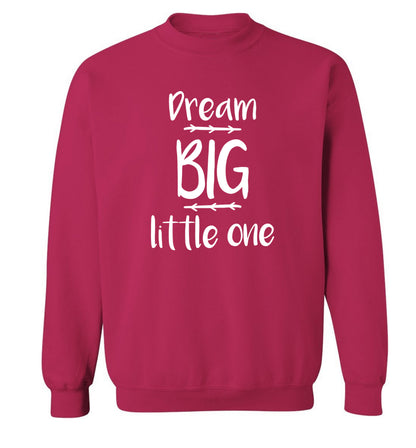 Dream big little one Adult's unisex pink Sweater 2XL