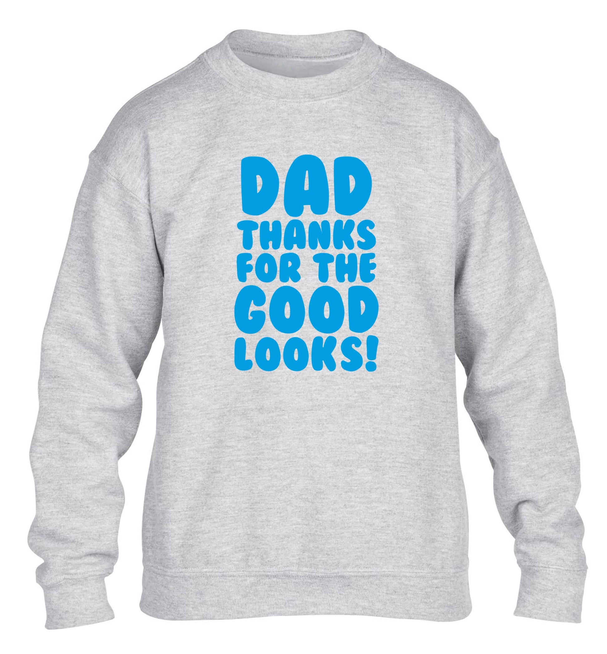 Dad thanks for the good looks children's grey sweater 12-13 Years