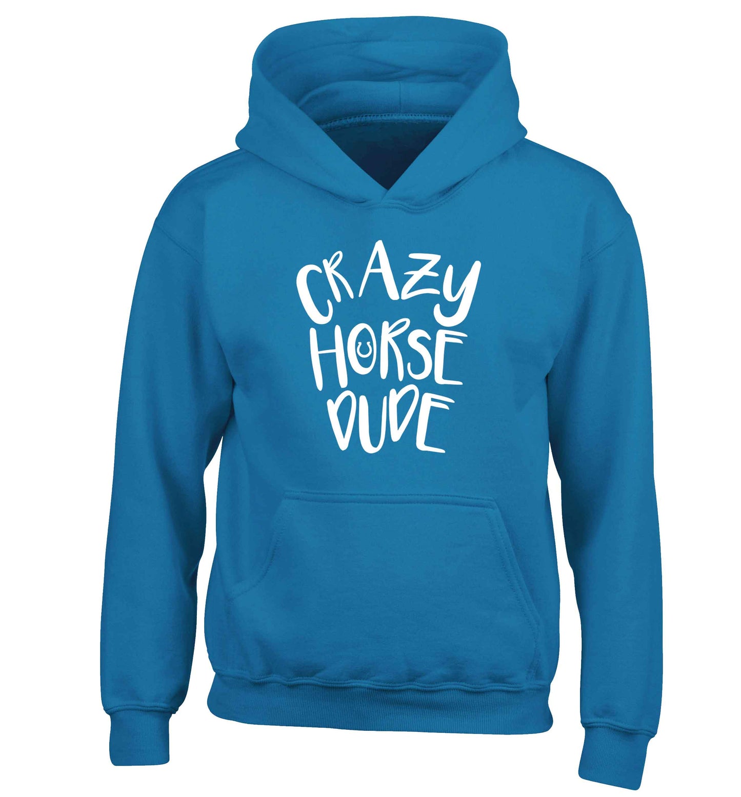 Crazy horse dude children's blue hoodie 12-13 Years
