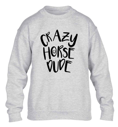 Crazy horse dude children's grey sweater 12-13 Years