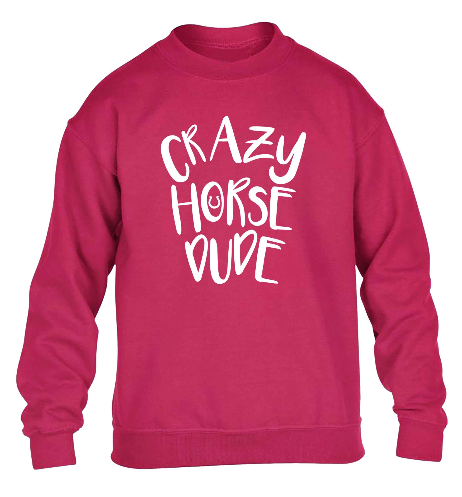 Crazy horse dude children's pink sweater 12-13 Years