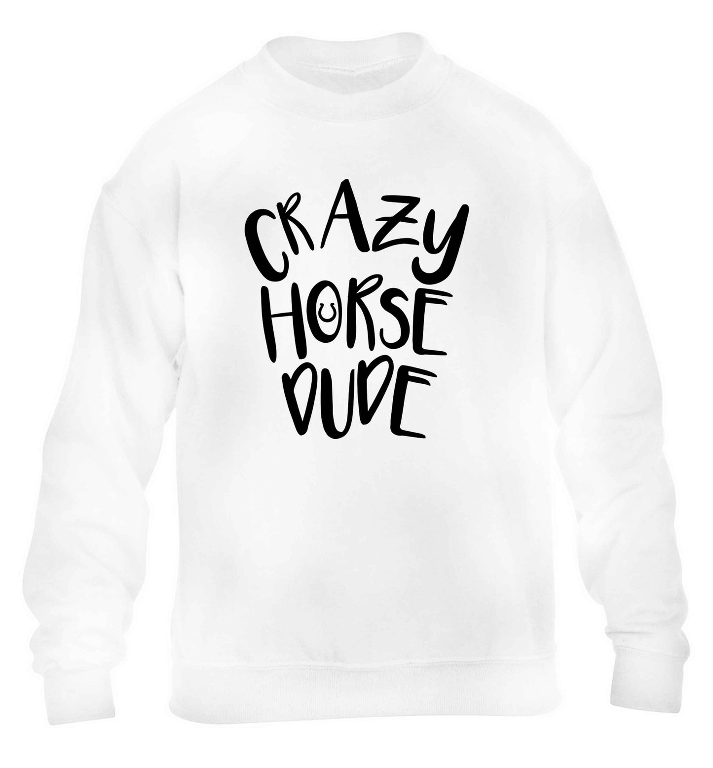 Crazy horse dude children's white sweater 12-13 Years